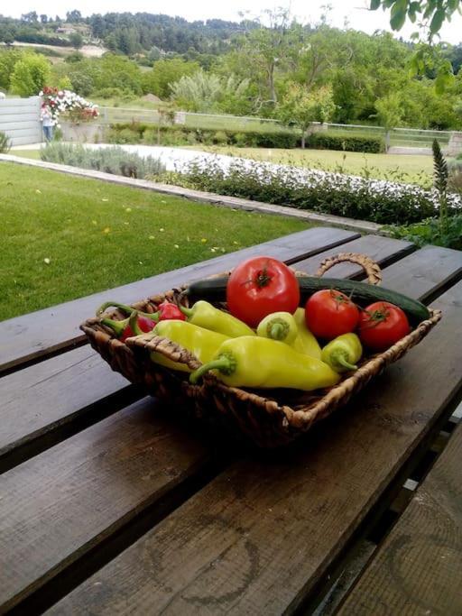 Luxury Villa Kassandrino Kassandrinon Bagian luar foto
