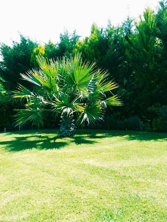 Luxury Villa Kassandrino Kassandrinon Bagian luar foto